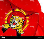 flag-image